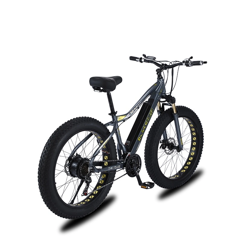 Two-Wheeled Electric Scooter 26inch Fat Tire 750W Snow Ebike