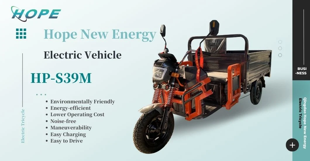 2024 Electric Tricycle Cargo Delivery Bicycle Electric Trikes for Adult Tricycle Cargo Etrikes Warehouse