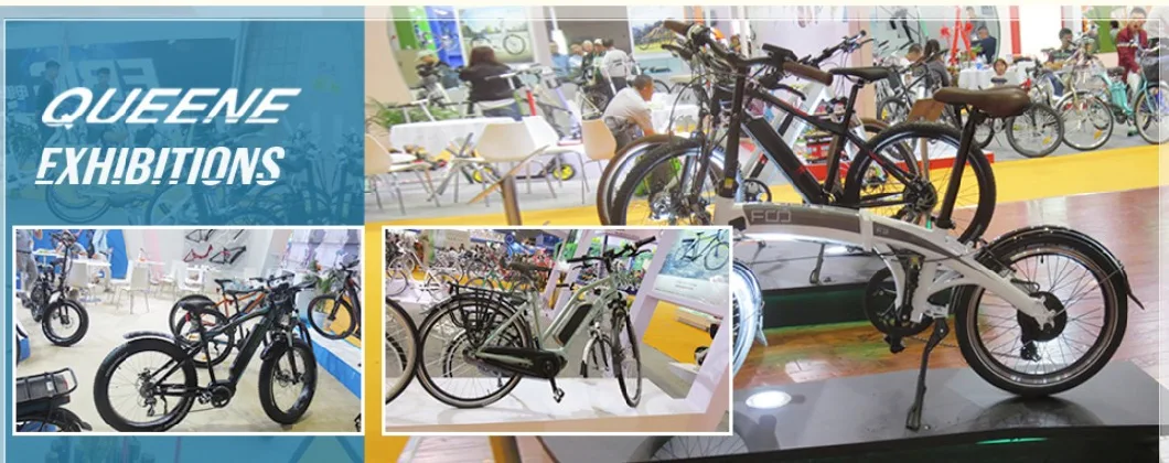 Queene/ Electric Tricycle Adults/ Convenient Electric Bike (RSD-708) OEM Customize Factory Price Electric Trike Three Wheels