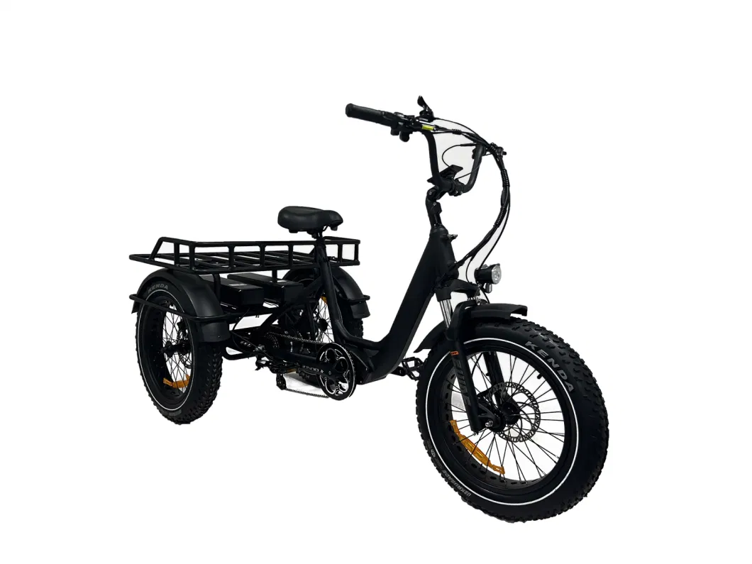 Dual Battery 48V40ah Fat Tire Electric Tricycle 3 Wheel Ebike