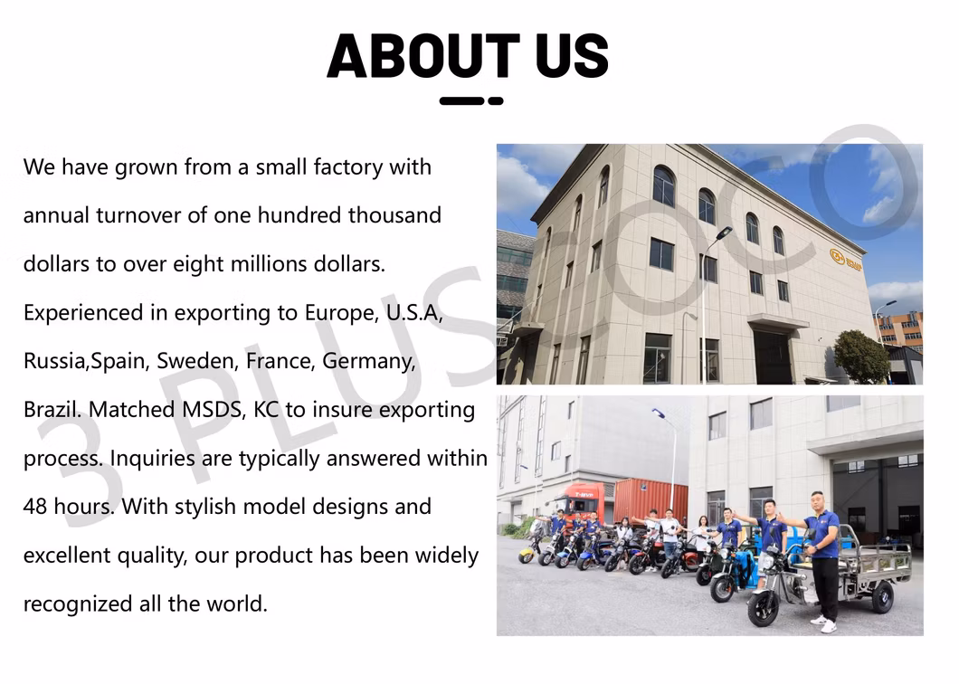 Electric Tricycles 3-Wheel Electric Cargo Bike with Automatic Lifting Hydraulic