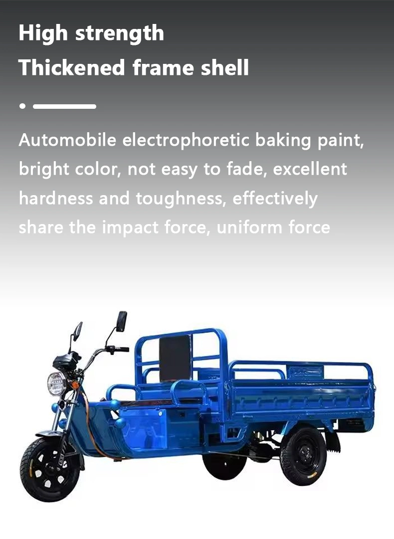 Chinese Made Electric Tricycles, New Energy Trucks, Motorcycles