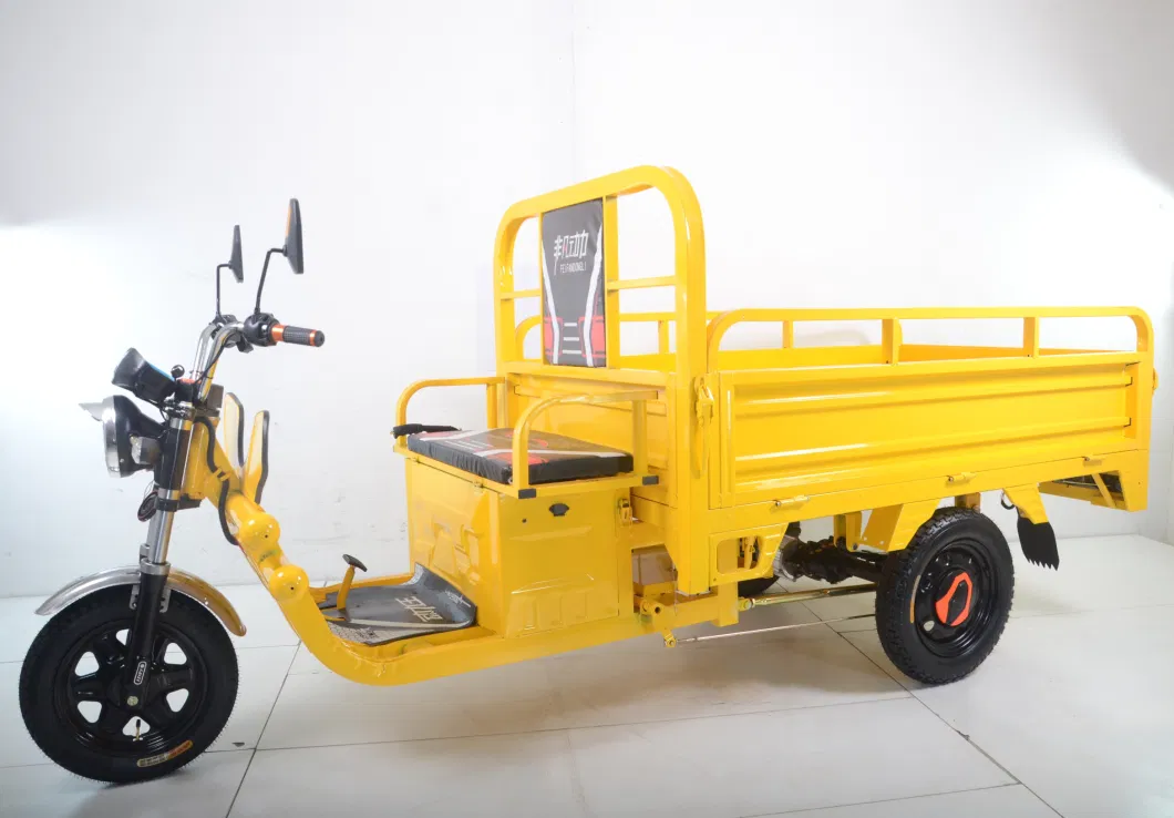 Cargo Delivery South Africa Tricycle Cargo Electric Motorized Tricycles for Adults