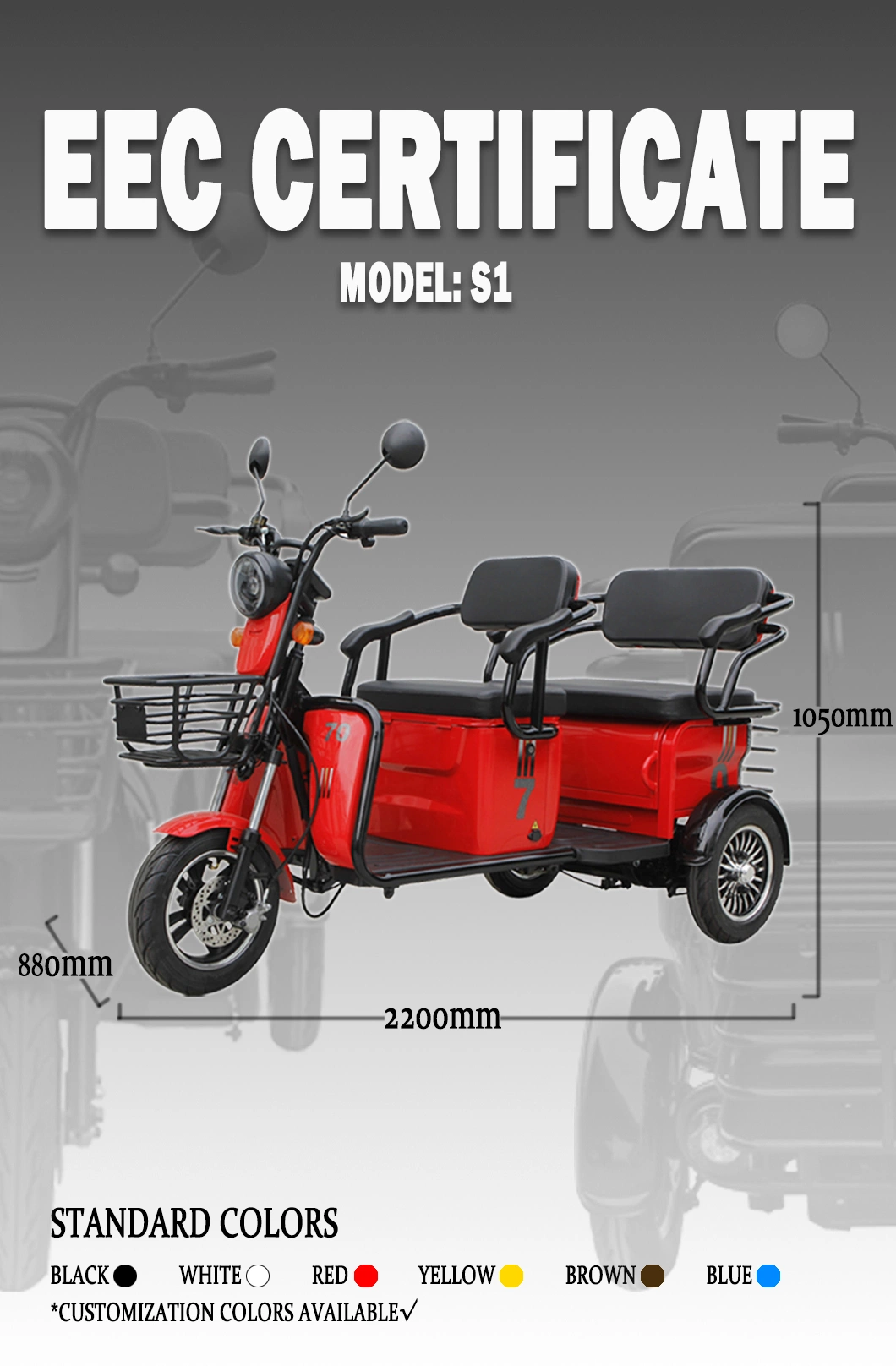 Europe Standard EEC Coc Leisure Electric Tricycle for Elder Passenger 50-70km Range Trike for Disabled People with Lithium Battery Optional