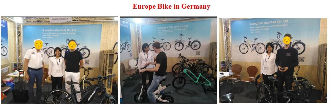 New Safe Design 48V Adult 2 Wheeled Electric Bike with Bafang Motor, Electric City Bicycle, E Bike From China