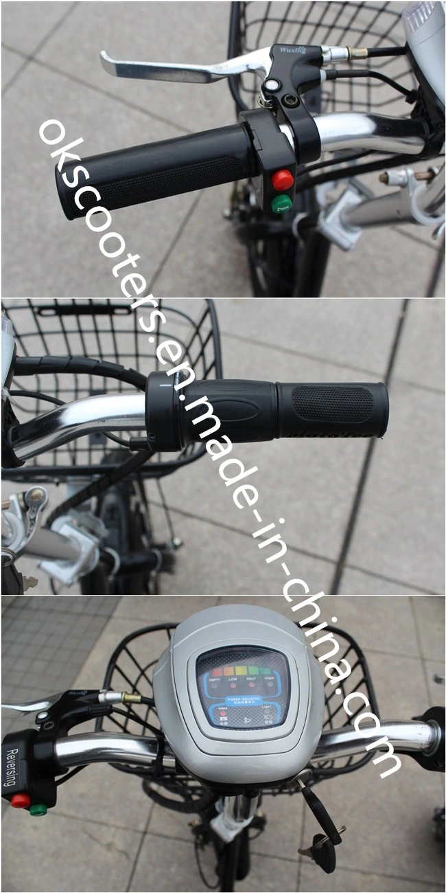 350W 500W Steel Frame Electric Tricycle, Adult 3 Wheel Electric Bike