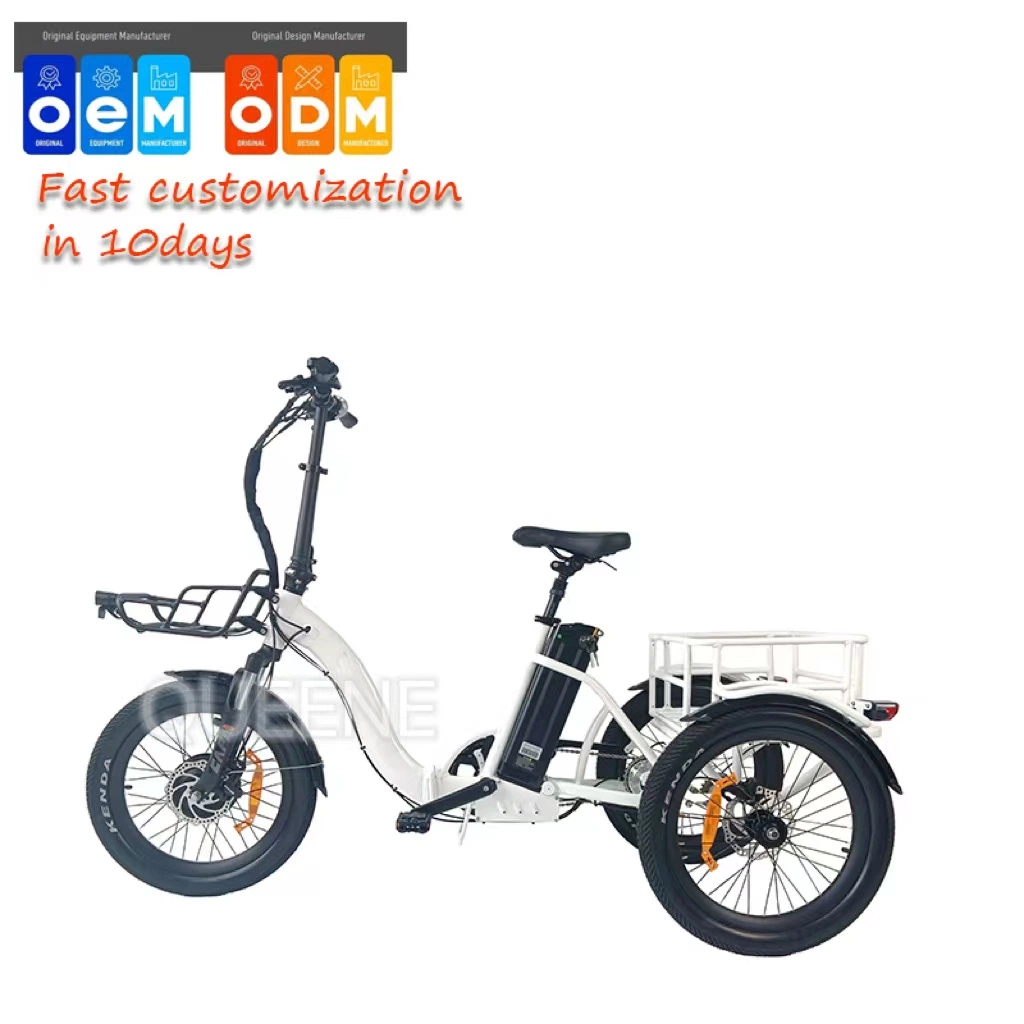 Queene High Quality 500W Electric Tricycle 3 Wheel Cargo Electric Bicycle for Adults