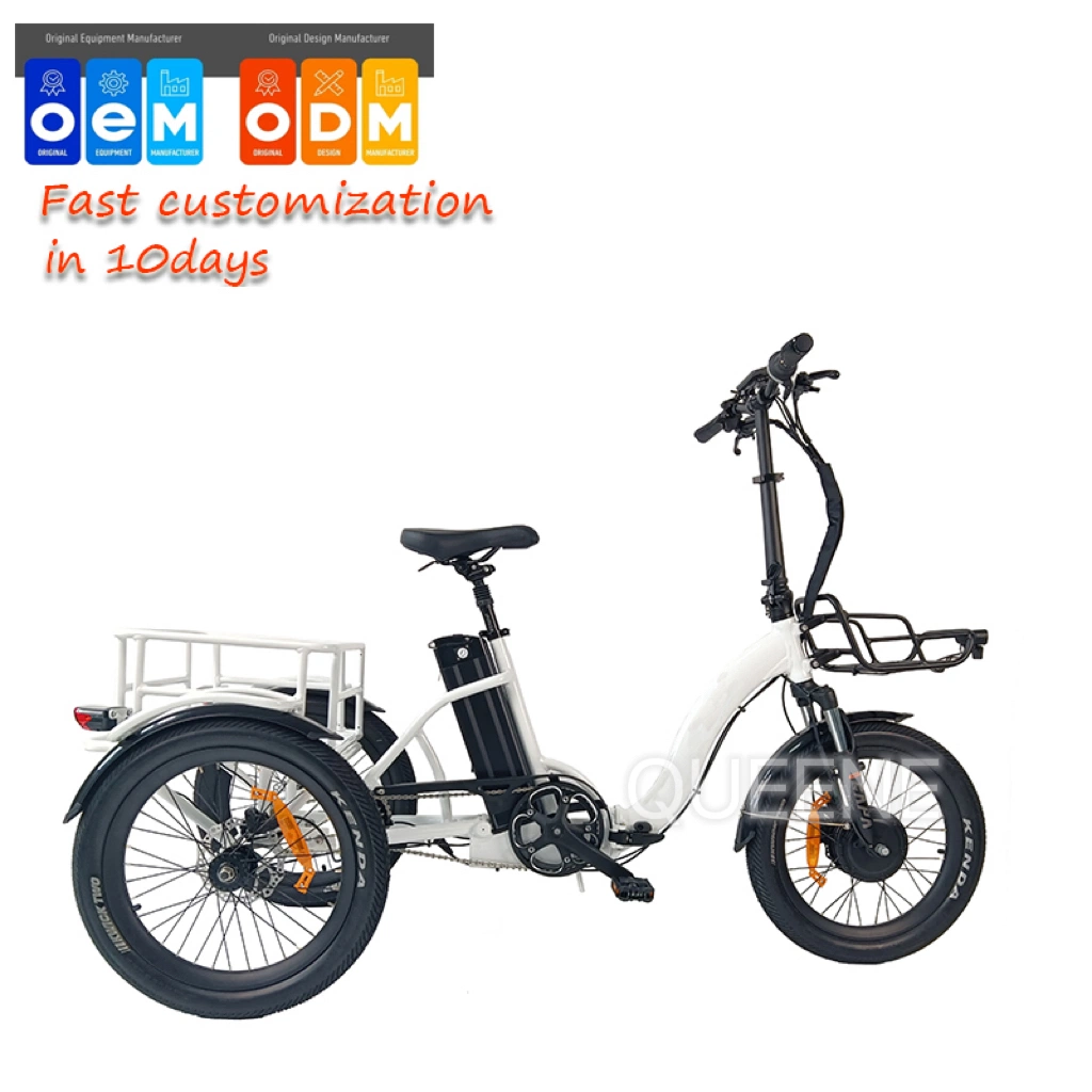 Queene High Quality 500W Electric Tricycle 3 Wheel Cargo Electric Bicycle for Adults