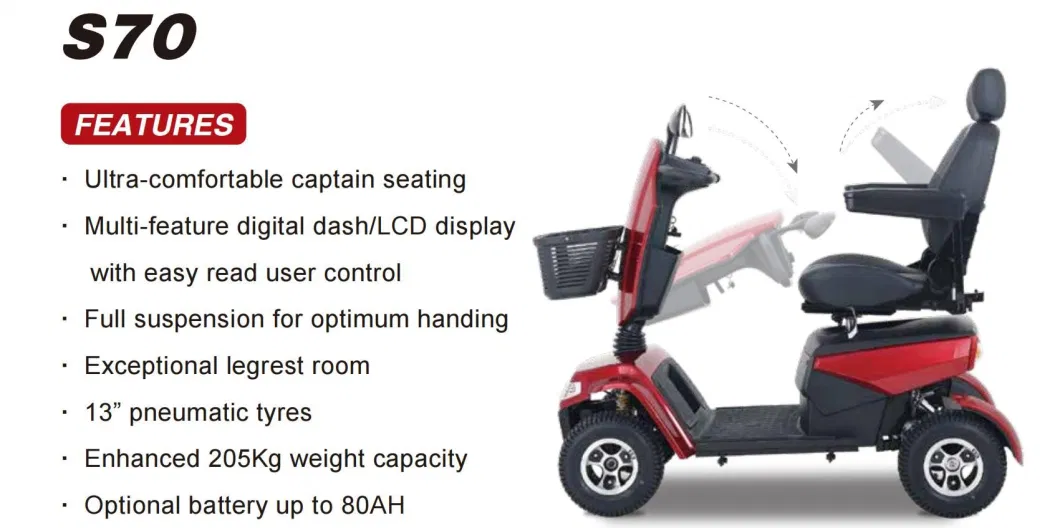 2 Seats Elderly Mobility Scooter Electric Tricycle with Basket