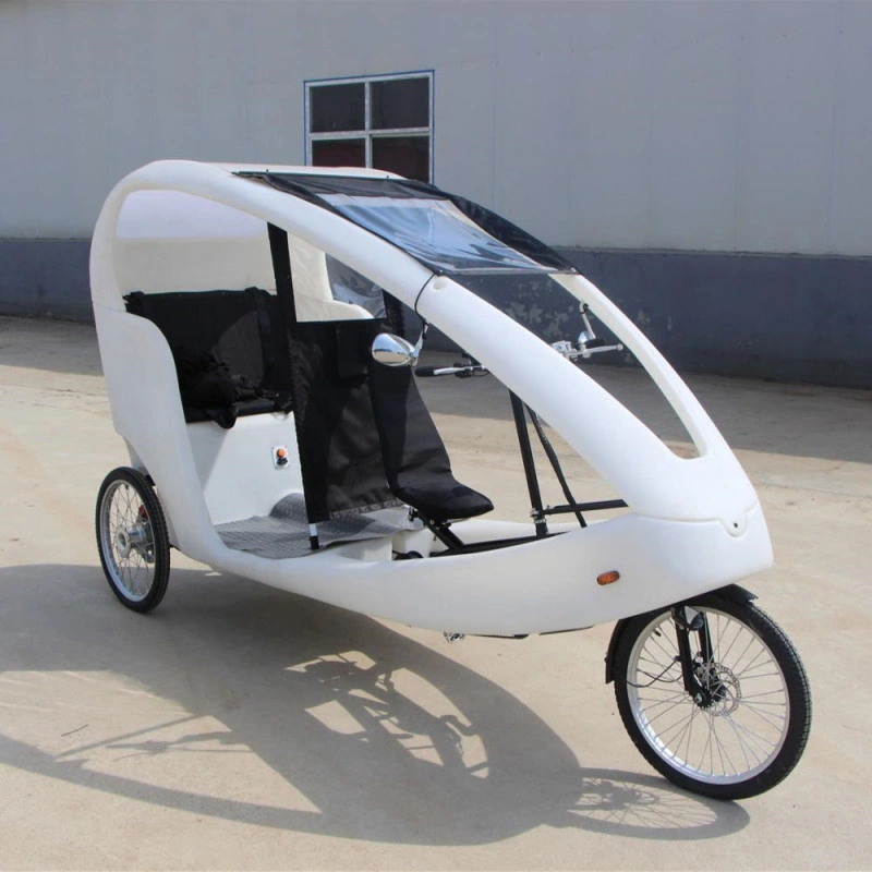 New Design Adult Electric Cargo Bike Tricycle Three Wheels Passenger Solar Car Outdoor Rickshaw Velo Taxi