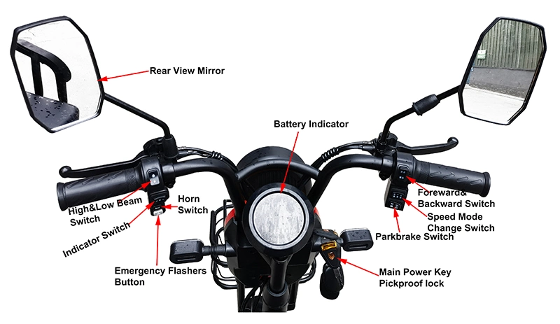 Motorized 3 Wheel Bikes for Adults From Chinese Manufacturer