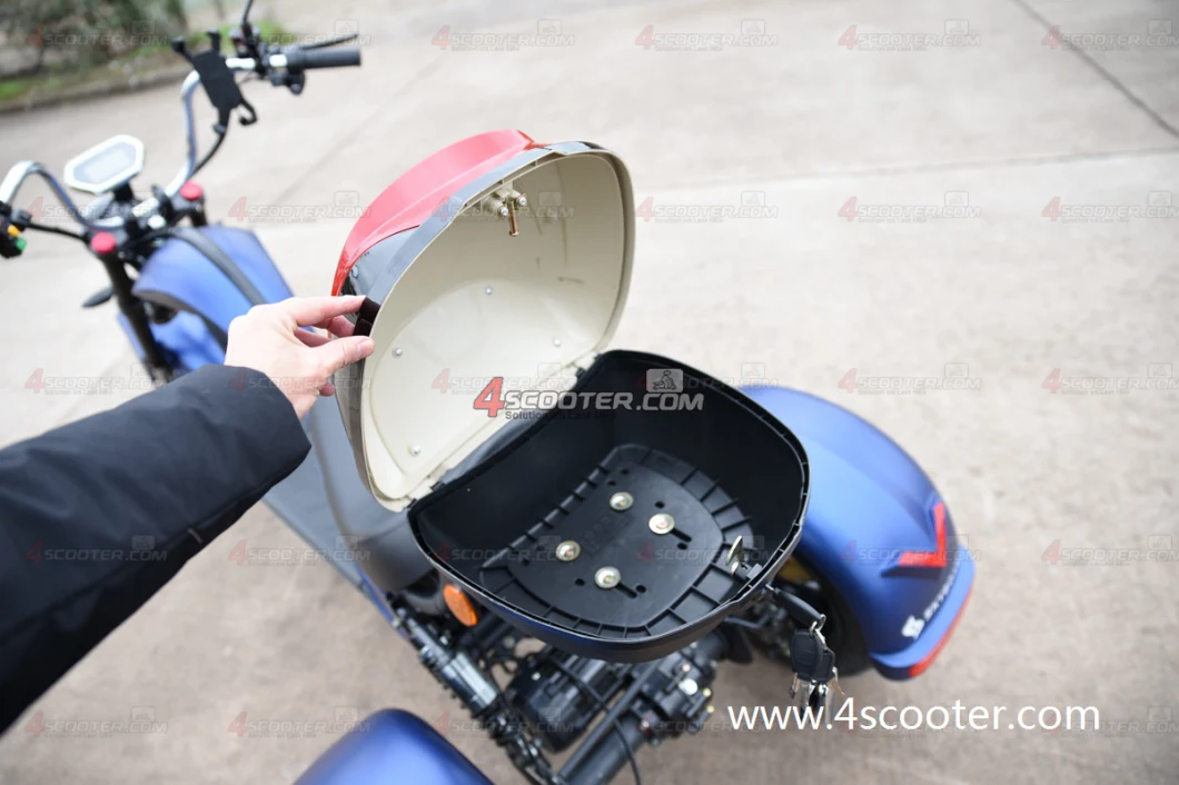 EEC 4000W 5000W Dual Match Citycoco Chopper Trike Scooter Three Wheel Electric Motorcycle