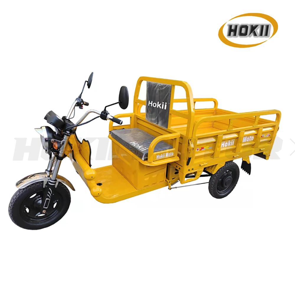 Good Quality and Fashion Design Electric Tricycles 3 Wheel Electric Cargo Bike for Sale