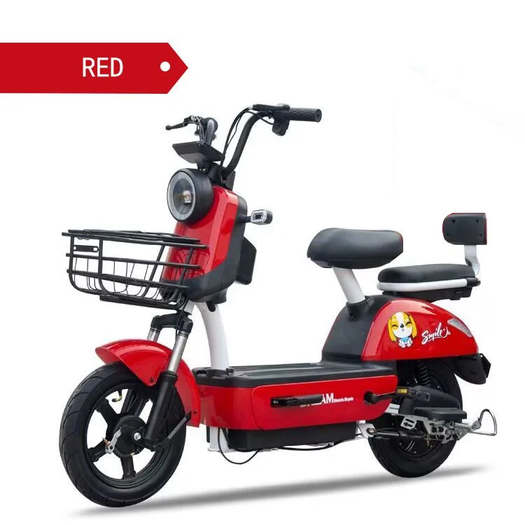 New National Standard Manatee Electric Bike Two-Wheeled Electric Bicycle Tianjin Skateboard Double Electric Battery Car Manufacturers Wholesale Adults