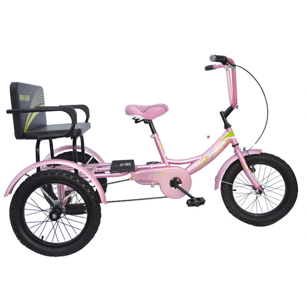 Electronic Tricycle for Adults Adult Folding Tricycle