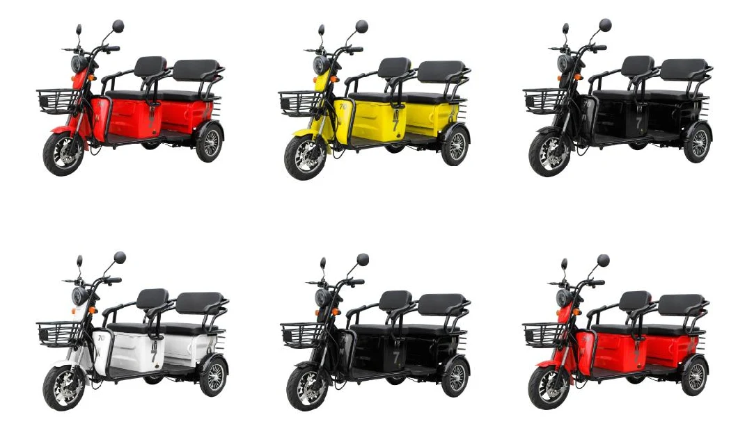 Fashion EEC Coc Leisure Electric Tricycle 60V1000W for 3 Passengers 50-70km Range Trike for Disabled People with Lithium Battery Optional