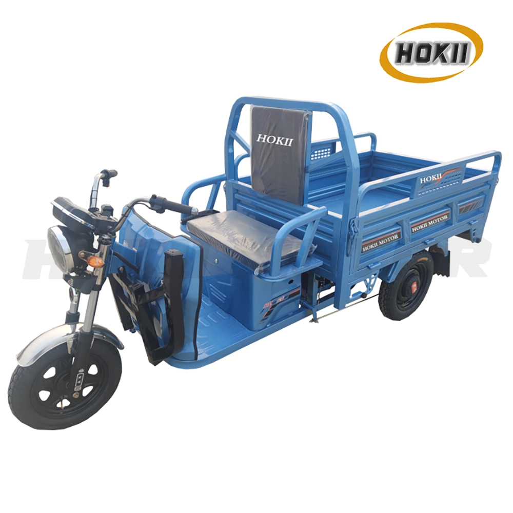 Cargo Transport 1000W Motor Electric Tricycle Triciclo Electrico for Sale