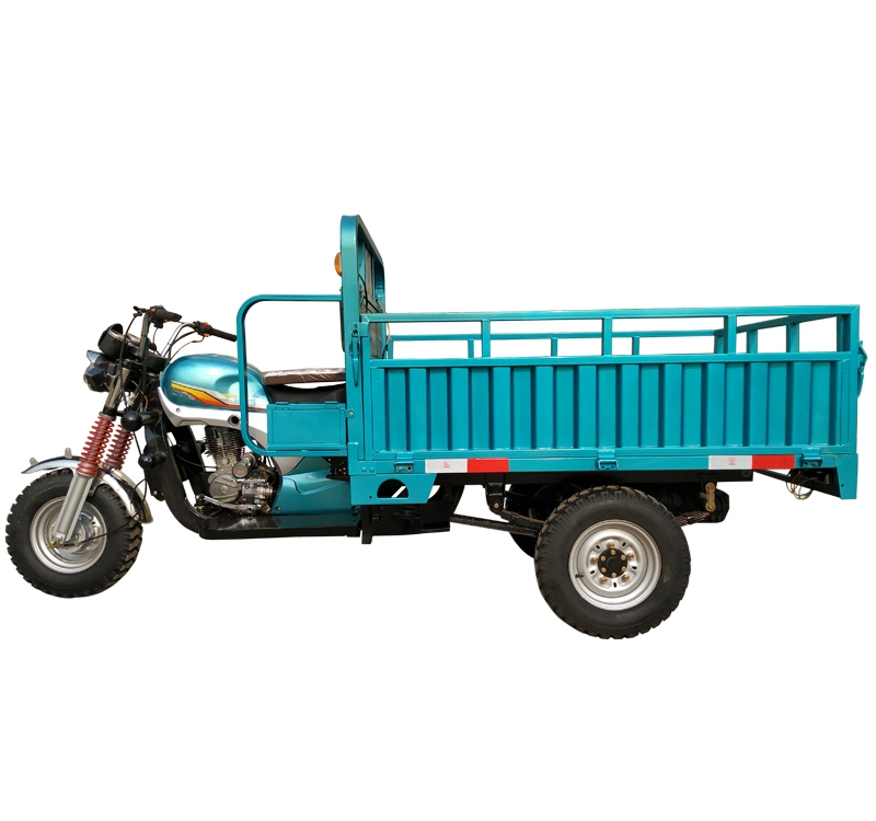 China Hokii Manufacturer Produced Hot Sale Model 150cc Gasoline Engine Cargo Tricycle Heavy Load