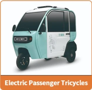 Jinpeng Electric Tricycle Adult E Trike E Tricycle for The Disabled Elderly