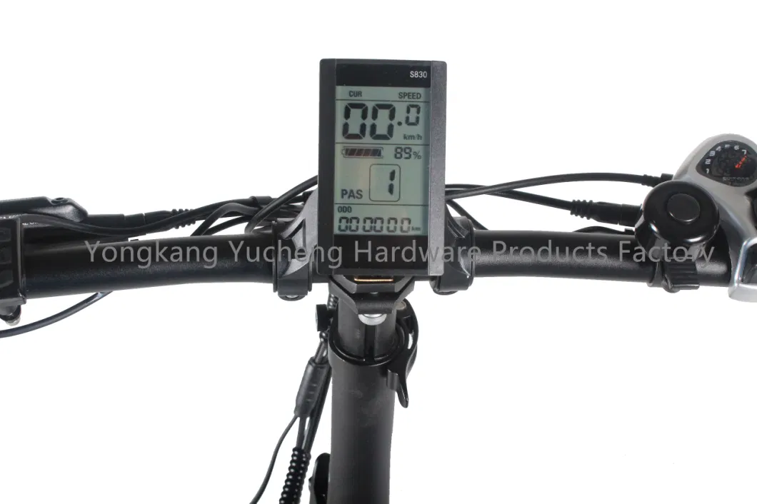 Electric Road Bike with 750W Motor