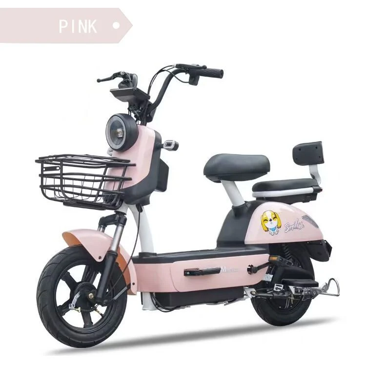 New National Standard Manatee Electric Bike Two-Wheeled Electric Bicycle Tianjin Skateboard Double Electric Battery Car Manufacturers Wholesale Adults