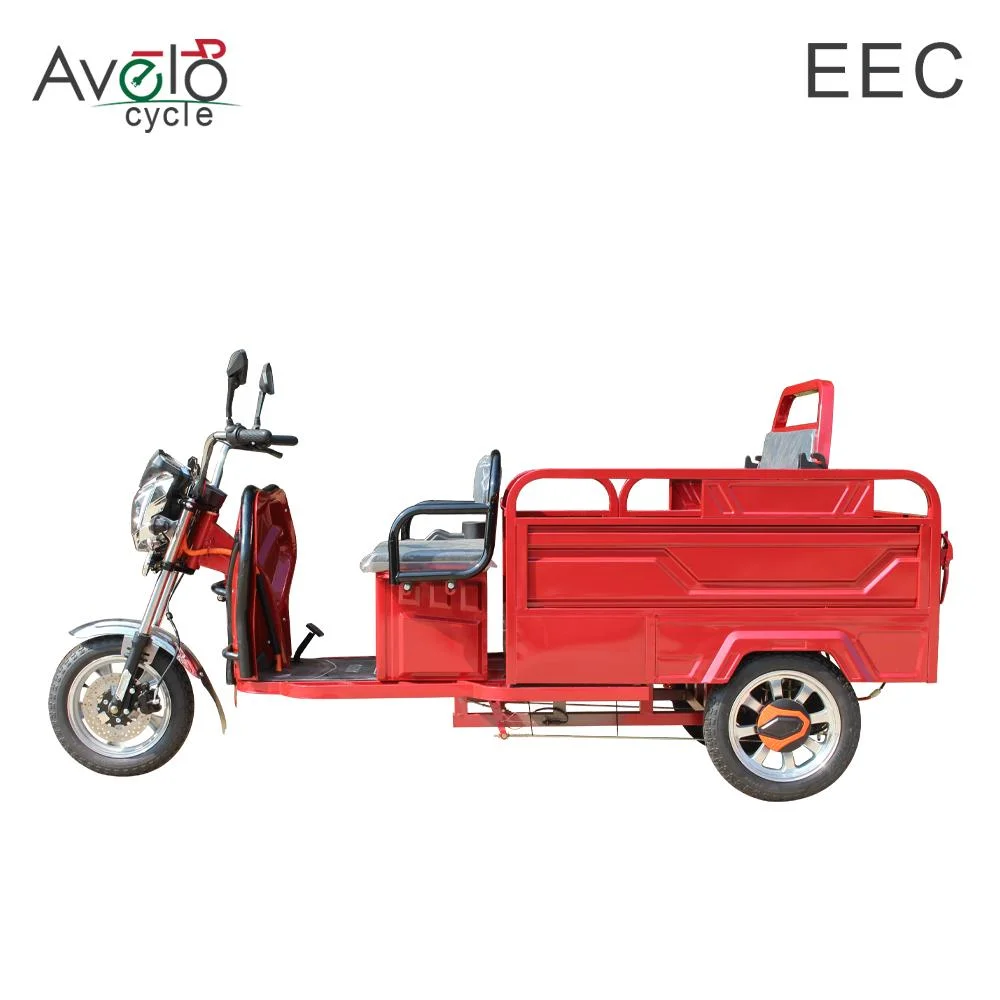 New Fat Tire Adult 3 Wheel Cargo 1200W 72V/32ah Lead-Acid Battery Electric Tricycle