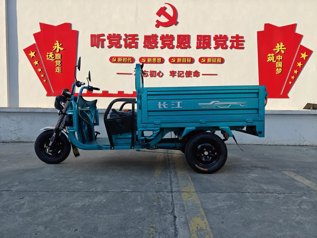 Electric Cargo Tricycle 60V 1200W /Pedicab /Best Selling Electric Tricycle