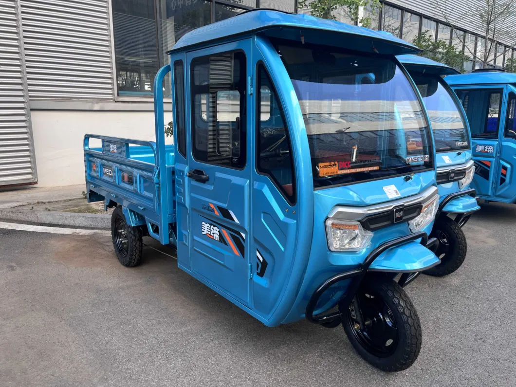 Three-Wheeled Electric Bike with Cargo Space