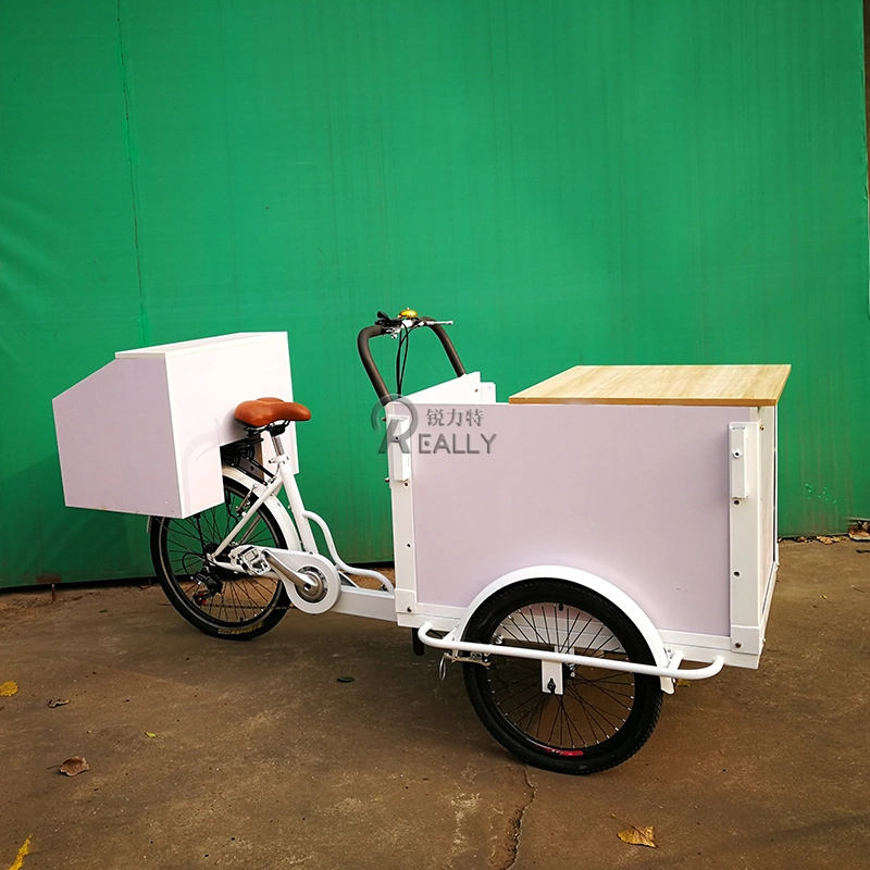 Front Load Ice Cream Cargo Bike Fashion Electric Adult Tricycle with High Quality Freezer for Sale Wholesale Family Street Food Cart for Sale