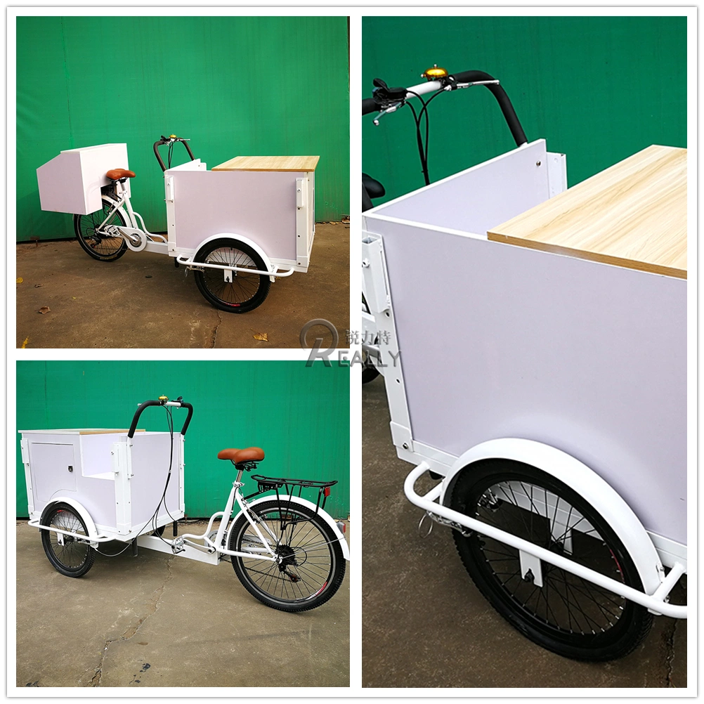 Front Load Ice Cream Cargo Bike Fashion Electric Adult Tricycle with High Quality Freezer for Sale Wholesale Family Street Food Cart for Sale