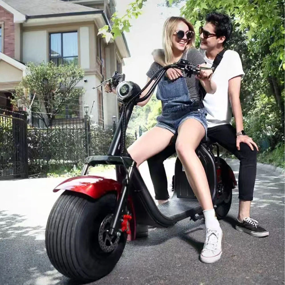 Wide Tire Double Two-Wheeled Battery Motorcycle Adult Lithium Battery Pedal Electric Bike Scooter