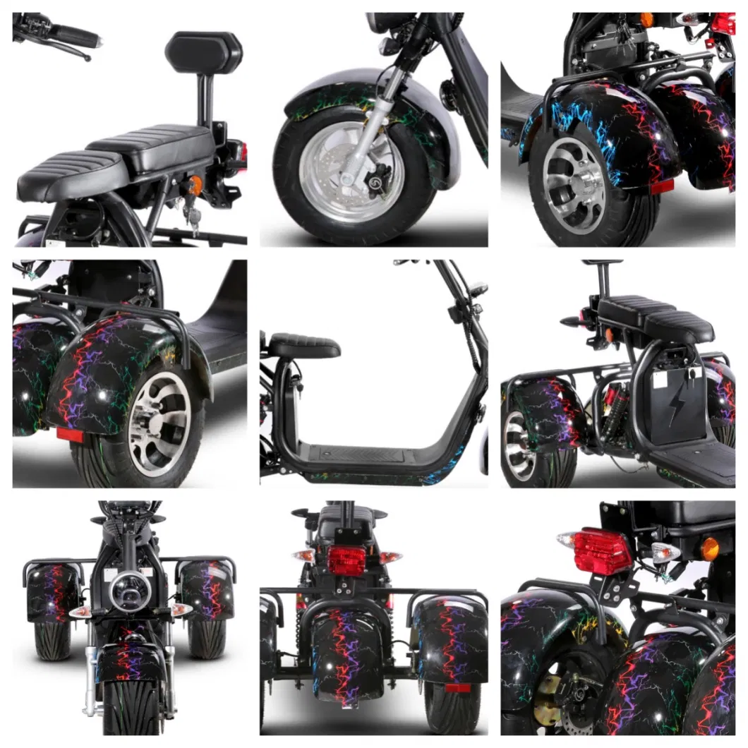 EEC Rear Wheel Mudguard 2000W Three Wheel Electric Trike Scooter Bike Motorcycle