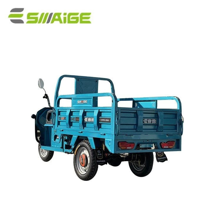 Saige Adult 3 Wheel Electric Powered Cargo Bicycle with Cargo Boxes with EEC Certificate