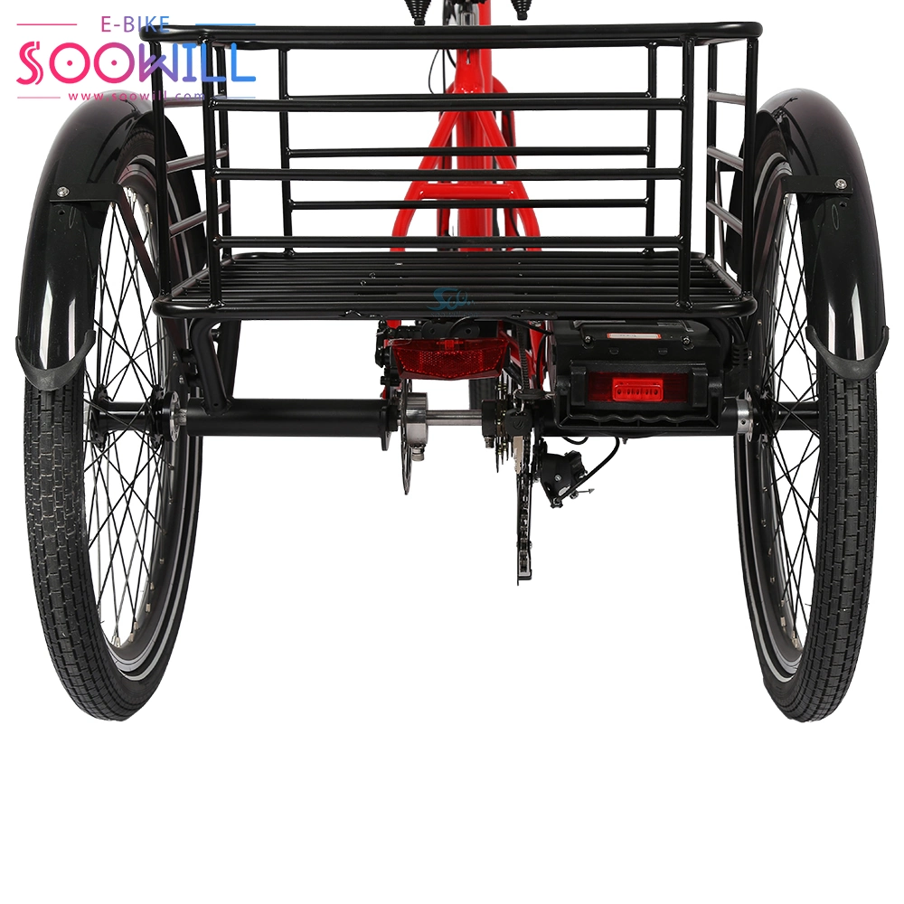 Factory Folding Adult Bike Roof Electric Enclosed Tricycles at Good Price