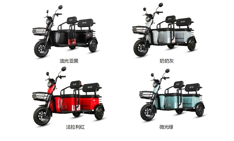 2024 New Electric Tricycle Lead Acid Battery 500W Motor City 096