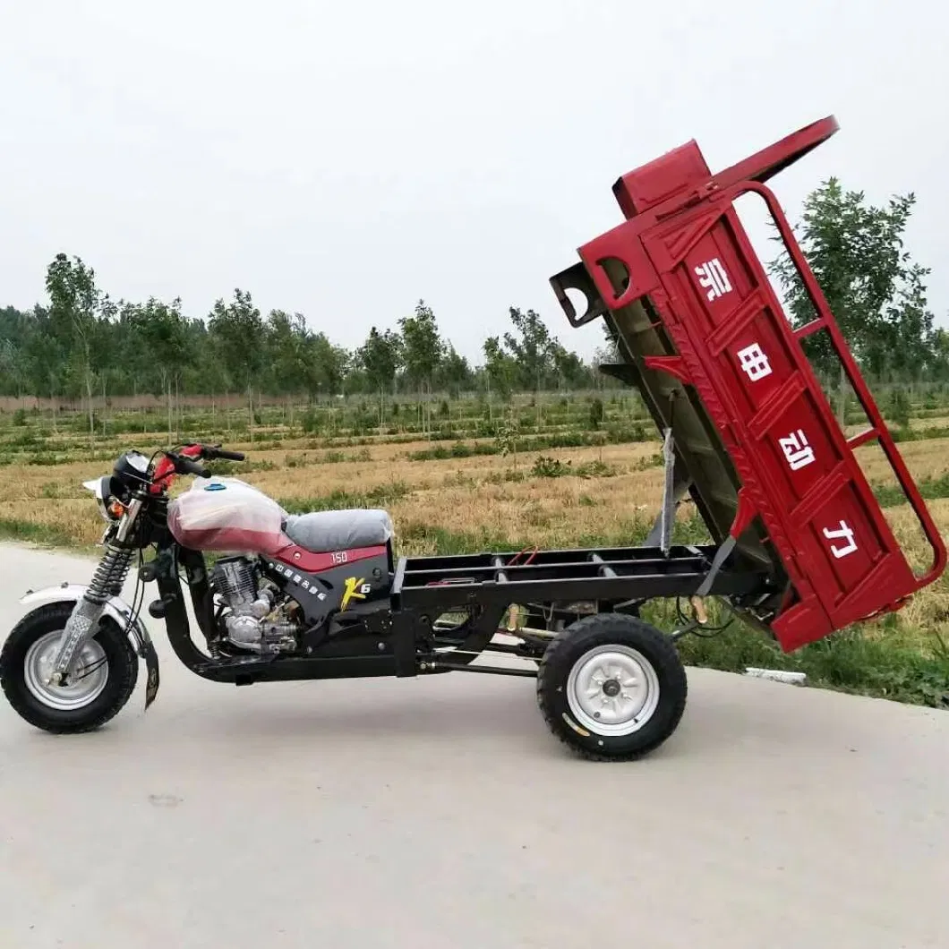 China Hot Sale 3 Wheel Motorcycles Water Cooled Motor Motorized Tricycles for Adult Gasoline Motor Tricycles