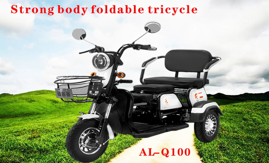 Electric Mobility Wheel Scooter Tricycle China Supplier