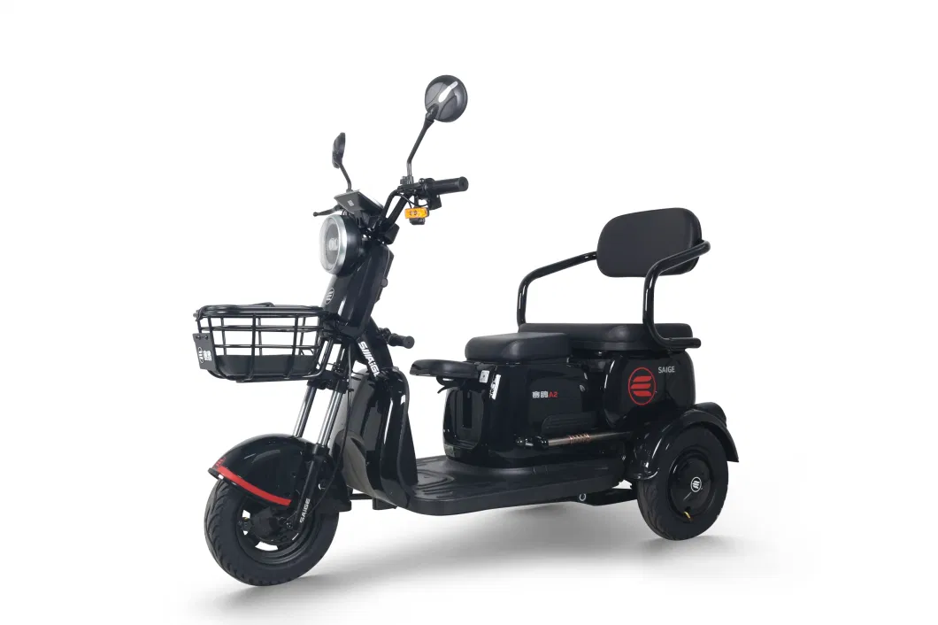 Saige Electric Trike Kate EEC for Adult 1000W New Vehicle 2023