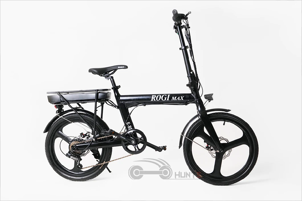 Best Quality Electric Tricycle Electric Bicycle