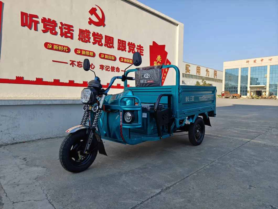 Electric Cargo Tricycle 60V 1200W /Pedicab /Best Selling Electric Tricycle