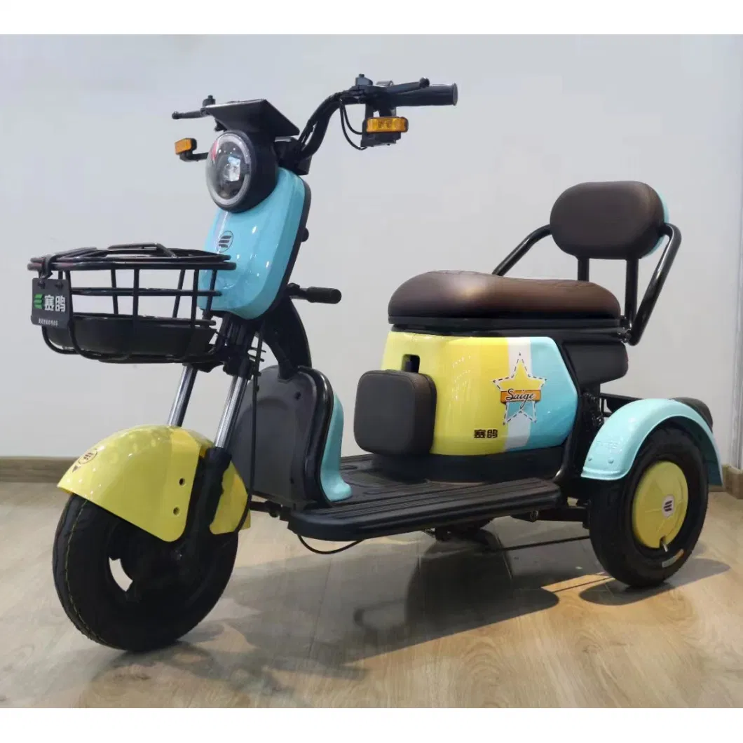 Saige Brand EEC Adult 3 Wheel Light Electric Bicycle Tricycle for Disabled People Electric Trike Passenger Tricycle Electric Truck