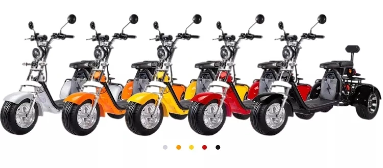 Newest Fat Tire EEC 3 Wheels Scooter Coc Adult Electric Motorcycle Cheap Tricycle 1000W Motor Citycoco