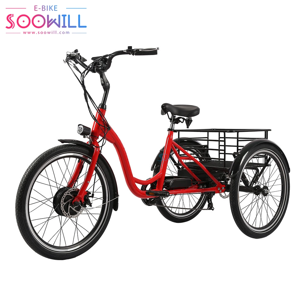 Factory Folding Adult Bike Roof Electric Enclosed Tricycles at Good Price