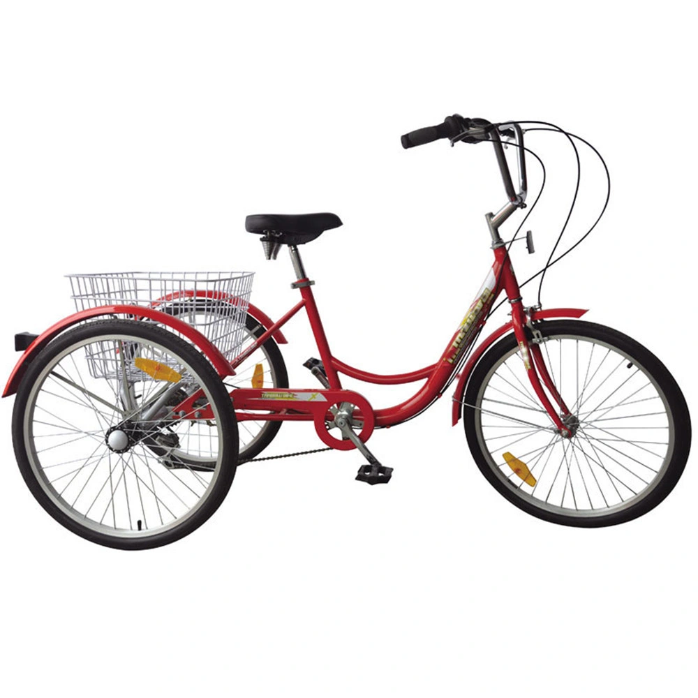 Front Basket Women Ebike Engine Adult Tricycle Ebay Equipment for Big and Disabled People