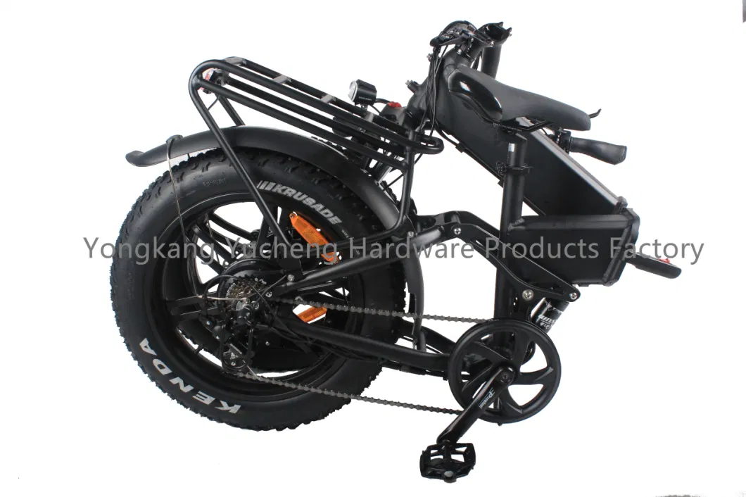 Electric Road Bike with 750W Motor