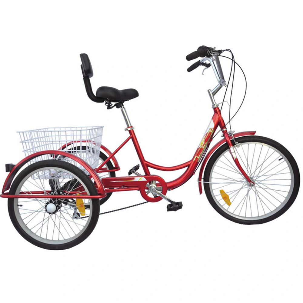 Front Basket Women Ebike Engine Adult Tricycle Ebay Equipment for Big and Disabled People