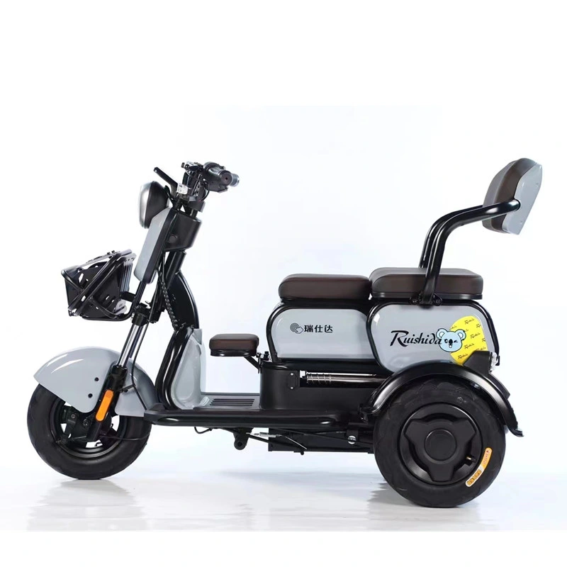 Electric Trike with 500W Motor Two Seats Electric Tricycle for Sale