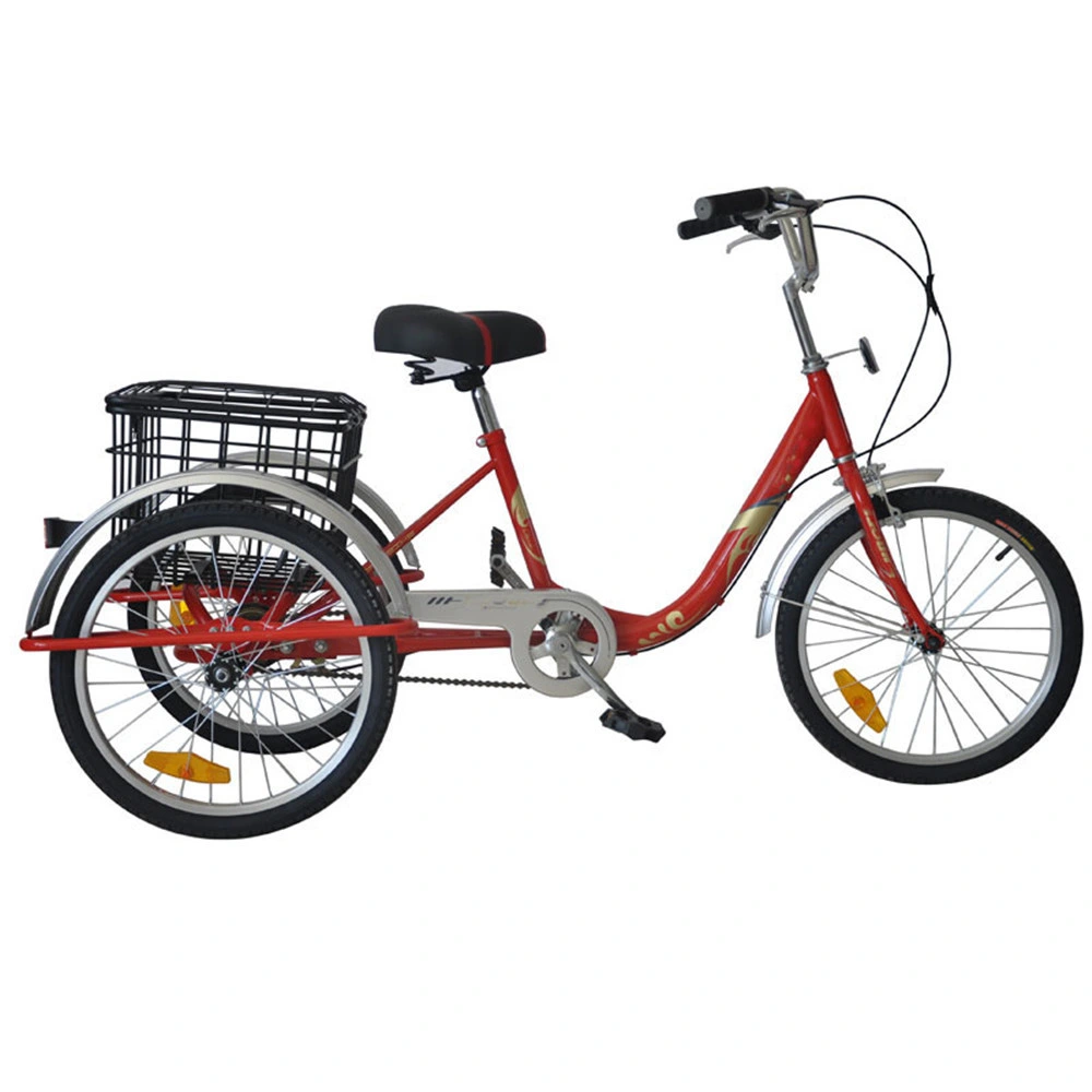 Front Basket Women Ebike Engine Adult Tricycle Ebay Equipment for Big and Disabled People