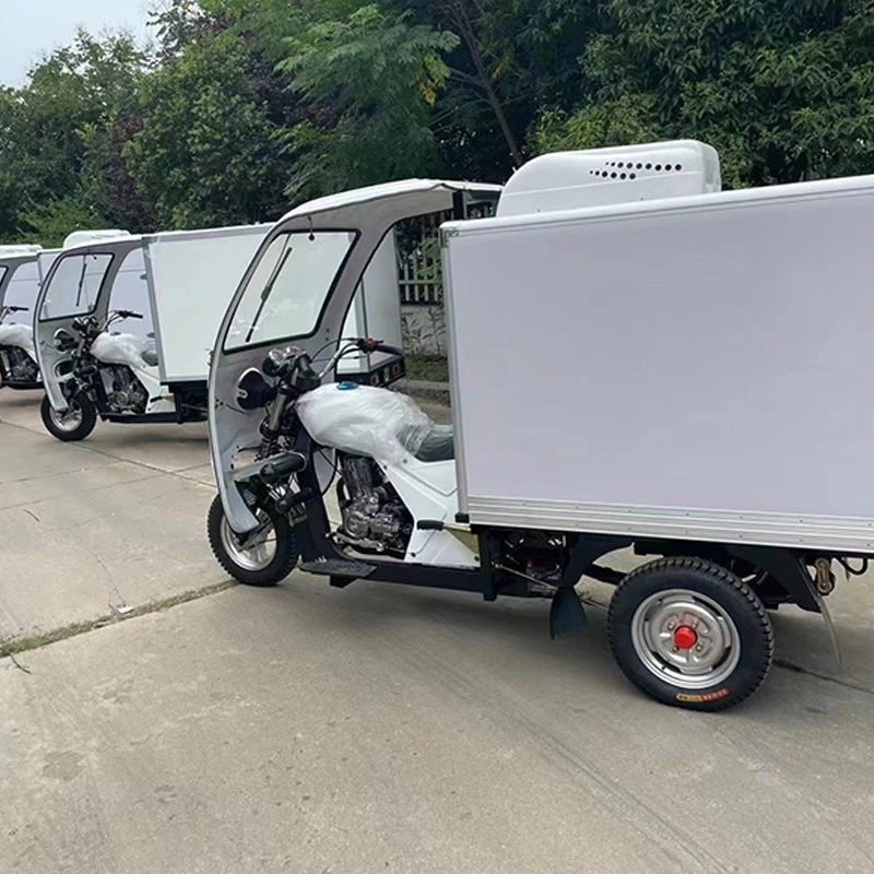 Adult,Big,Closed,Special,Gasoline,3 Wheeler,Wheel,Trike,Scooter,Taxi,Motor,Motorized,Passenger,Cargo,Three Wheel,Electric Tricycle,Refrigerator Truck Sellers