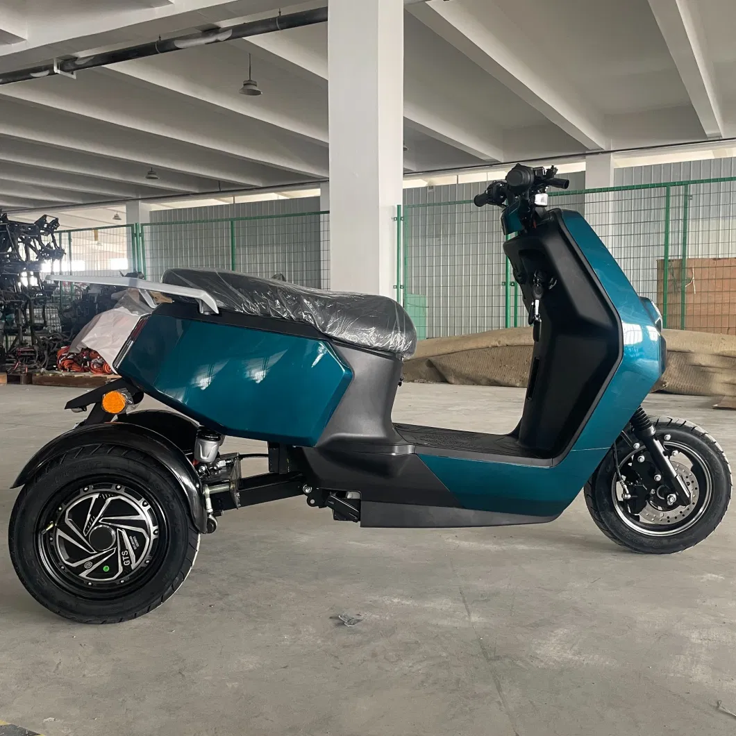 High Quality Low Speed Electric Tricycle with EEC and Lead-Acid Battery Three Wheel Electric Scooter 500W Electric Bike